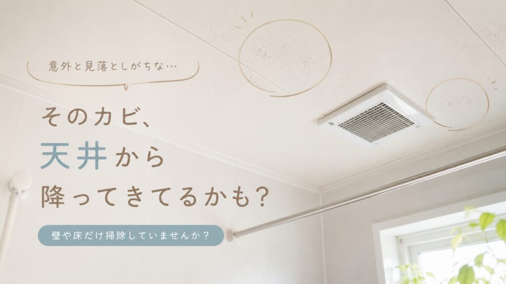 お風呂の天井に発生したカビが浴室全体に広がるイメージ